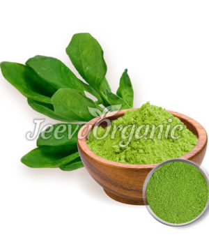 Spinach Powder