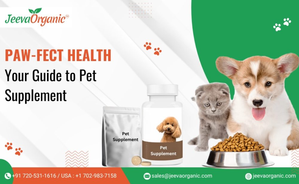 Natural or synthetic pet supplements? Here is the answer. Learn about popular ingredients, get tips, and discover how to choose the best.