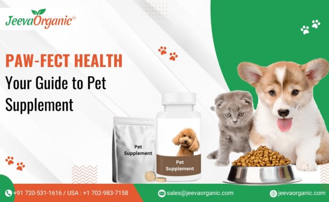 Natural or synthetic pet supplements? Here is the answer. Learn about popular ingredients, get tips, and discover how to choose the best.